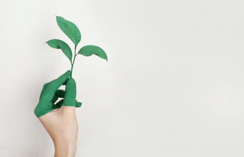 Green Marketing: cos’è e come cambiare il proprio business